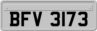 BFV3173
