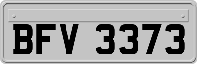 BFV3373