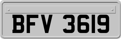 BFV3619