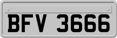 BFV3666
