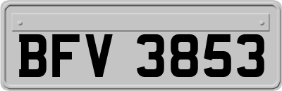 BFV3853