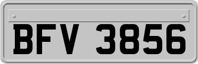 BFV3856
