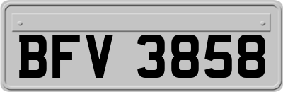 BFV3858