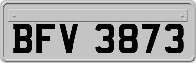 BFV3873