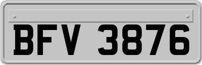 BFV3876