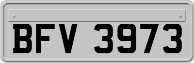 BFV3973