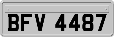 BFV4487