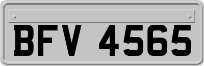 BFV4565