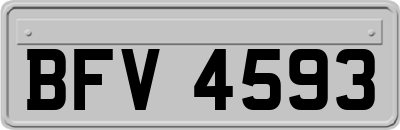 BFV4593