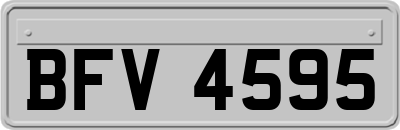 BFV4595