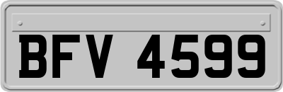 BFV4599