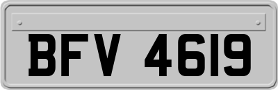 BFV4619