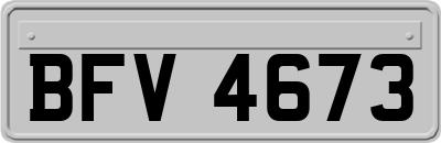 BFV4673