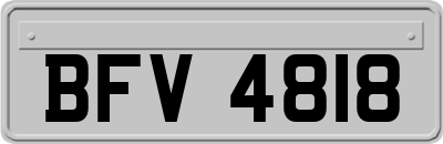BFV4818