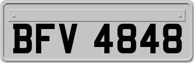 BFV4848