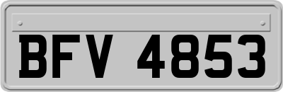 BFV4853