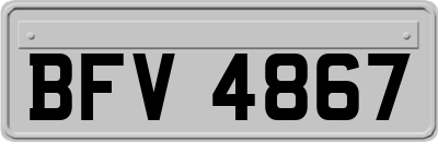 BFV4867
