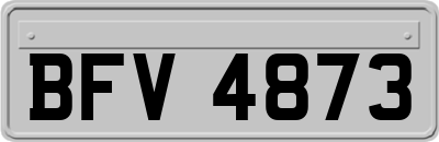 BFV4873