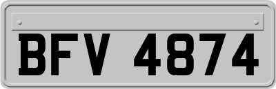 BFV4874
