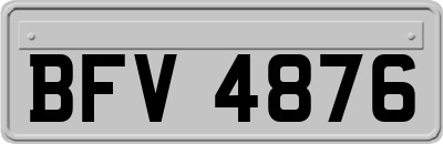 BFV4876