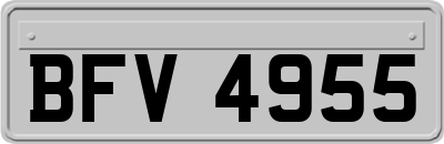 BFV4955