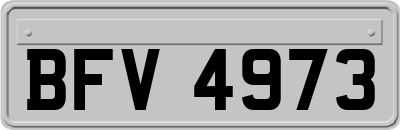 BFV4973