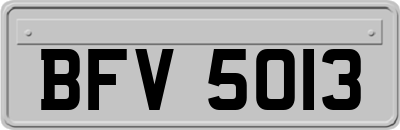 BFV5013