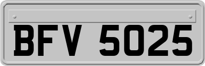 BFV5025