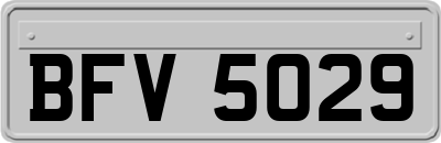 BFV5029