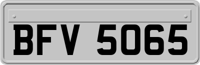 BFV5065