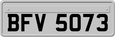 BFV5073