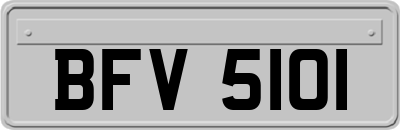 BFV5101
