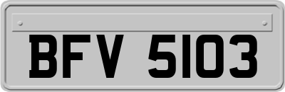 BFV5103