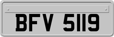 BFV5119