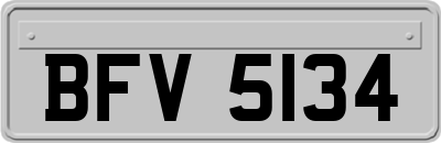 BFV5134