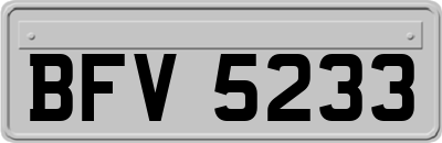 BFV5233