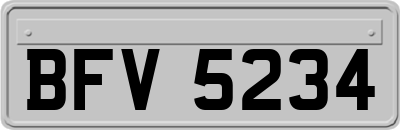 BFV5234