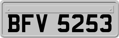 BFV5253