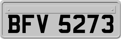 BFV5273