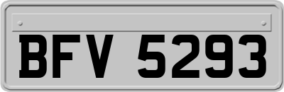 BFV5293