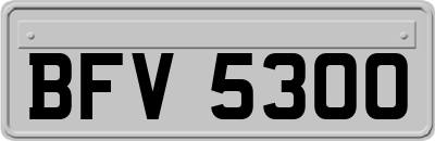 BFV5300