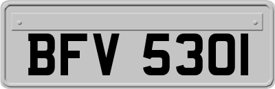BFV5301