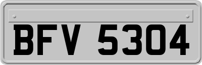 BFV5304