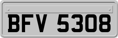 BFV5308