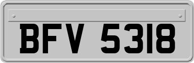 BFV5318