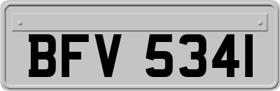 BFV5341