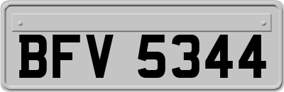 BFV5344