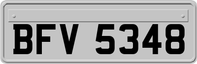 BFV5348