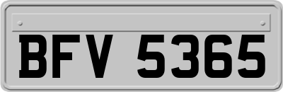 BFV5365