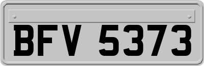 BFV5373